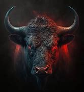 Image result for Taurus Bull Pics