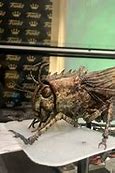 Image result for Giant Locust Jurassic World