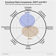 Image result for Intj and Esfp