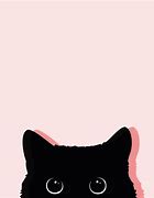 Image result for Cat with Pink Background