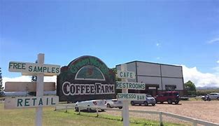 Image result for Hawaii Coffee Farm