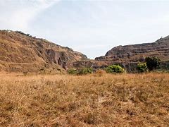 Image result for Mount Nimba Strict Nature Reserve