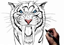 Image result for Sabertooth Tiger Front Wireframe