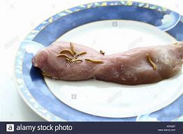 Image result for Maggots Meat