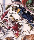 Image result for Cassiopeia Greek