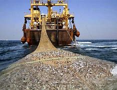 Image result for Penangkapan Ikan