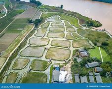 Image result for Chinese Paddy Fields