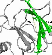 Image result for VHL Pathway