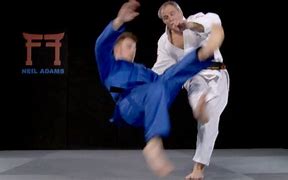 Image result for Ashi Waza Judo