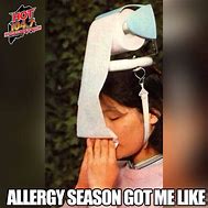 Image result for Allergy Season Meme