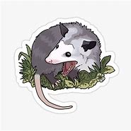 Image result for Possum Doodle