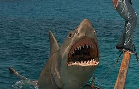 Image result for Images of Jaws