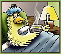 Image result for Bird Flu Cartoons Pics