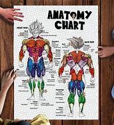 Image result for Anime Anatomy Guide