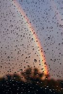 Image result for Rain Aesthetic PFP