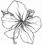 Image result for Chinese Flower Drawings