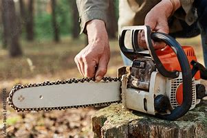 Image result for Logger Chainsaw