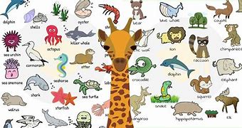 Image result for Every Kind of Animal