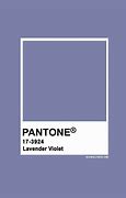 Image result for Lavender Purple