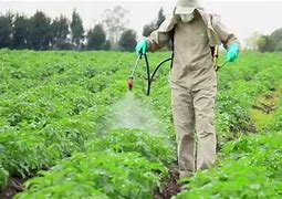 Image result for Pesticides Products