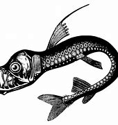 Image result for Deep Sea Monster Drawing