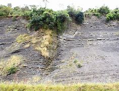 Image result for Rock Strata Yorkshire