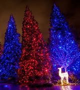 Image result for Blue LED Christmas Lights