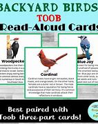 Image result for Backyard Birds Toob