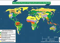 Image result for Usable Land On Earth