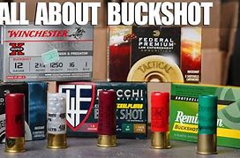 Image result for Buckshot Load