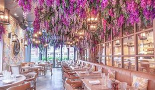 Image result for Cute Places Near Me