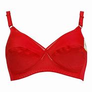 Image result for Tassled Bra