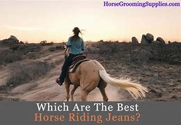 Image result for Horse Riding Jeans