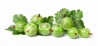 Image result for Images of Gooseberry