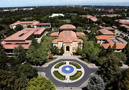 Image result for Stanford University Maskot