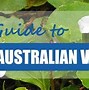 Image result for Australian Violet Ground Cover