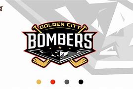 Image result for Hockey Team Logo Design