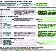 Image result for Cyanotic Heart Defect