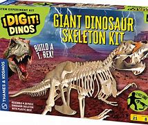 Image result for Toy Skeleton Parts