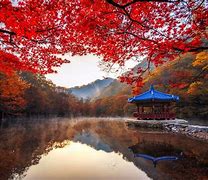 Image result for South Korea View