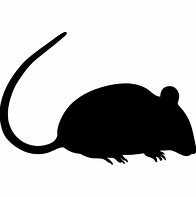 Image result for Halloween Rat Silhouette