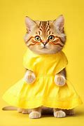 Image result for Cute Yellow Cat Mask