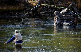 Image result for Child Fly Fishing Catching a Fish Photo