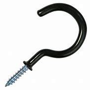 Image result for Large Screw Hooks