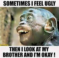 Image result for Funny Monkey Love