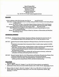 Image result for PhD CV Template