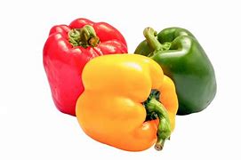 Image result for Chili Pepper Plant PNG