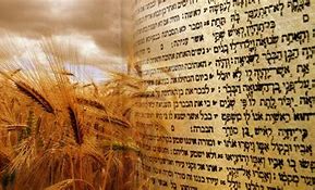 Image result for Sivan 6 Shavuot