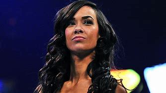 Image result for AJ Lee Wrestler