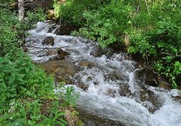 Image result for Courtain Flowing